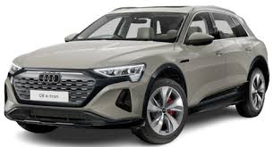 Image result for Siam Beige 2020 Audi
