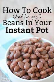 How To Cook Beans With No Gas The Frugal Farm Wife