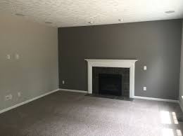 What Accent Wall Color Goes With Light French Gray 17 Beste Ideeen Over Agreeable G Accent Walls In Living Room Grey Accent Wall Living Room Grey Accent Wall