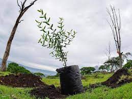 تطبيق الجوال لبنك أثيوبيا المتحد (ube). Mc0gskmb12hhhm