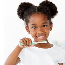 BRUCE A SPIGNER, DDS