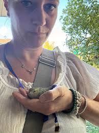 What to do with a rescued bird in Quatre Bornes?