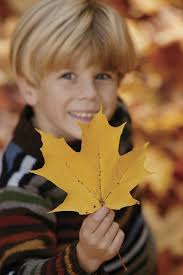 Free maple leaf Stock Photos & Pictures
