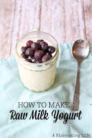 How To Make Raw Milk Yogurt A Blossoming Life