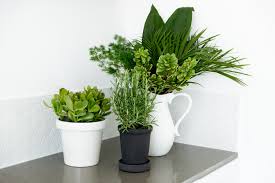 Feng shui bedroom artificial plants. Q A Are Fake Plants Bad Feng Shui Simple Shui