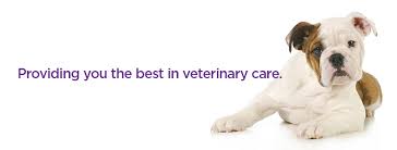 This directory covers valerie bartlett Cy Fair Animal Hospital Home Facebook