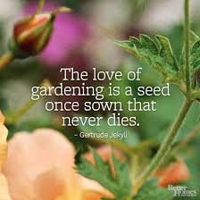 Pin By Better Homes Gardens On Gorgeous Garden Plants Garden Quotes Gardening Humor Organic Gardening