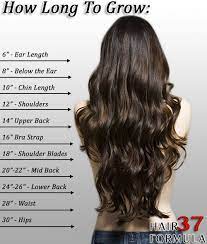 Because, depending on the color of your dyed hair, you can expect to go through a bunch of wild variations of hair color over a period of many months as you grow out your silver roots! Hair Growth Calculator Coconut Oil Hair Thick Hair Styles How To Grow Your Hair Faster