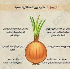 epingle sur plantes