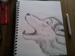 Weitere ideen zu heulender wolf, wolf zeichnung und wolf. Wolf Bleistiftzeichnung Zeichnungen Wolf Von Carolalpina On Kunstnet
