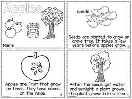 Apple Life Cycle Apple Life Cycle Life Cycles Preschool Activities