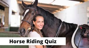 Our online zodiac trivia quizzes can be adapted to suit your requirements for taking some of the top zodiac quizzes. 15 Horse Riding Trivia Questions For Equestrians Answers Explanations