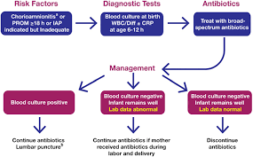 Image result for Neonatal Sepsis