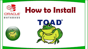 Install Toad For Oracle X64 On Windows Youtube