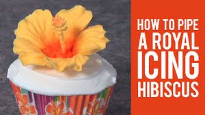 An edible ornamental with style 6 edible flowers for beauty, food and medicine Learn How To Pipe A Royal Icing Hibiscus Youtube