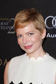 Sara Snook Przy Premiera Definitywny Sezon VEEP Zdjęcie Stock Editorial