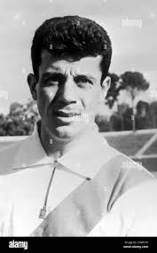 Frances black hi-res stock photography and images