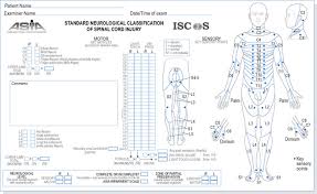 spinal cord injury neupsy key