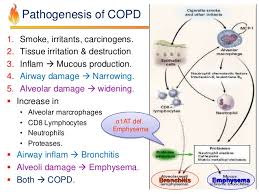Pathology Of Copd