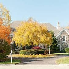 Bucks county farms, vineyards and tree farms. Real Estate Lawyer Pennsylvania Philadelphia Bucks County Law Offices Of Larry Lefkowitz