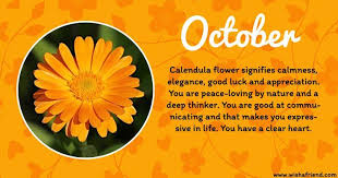 Birth Flower For Each Month Meanings October Month Birth Flower Images And Quotes Flores Calendario Plantas