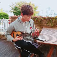 Pin By Flora Wieltschnig On Seventeen Joshua Seventeen Joshua Hong Seventeen