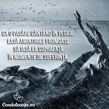 Prin astfel de clipe trece acum familia bunilor nostri colegi si prieteni, la despartirea de bunul lor tata, socru si bunic. 100 Mesaje De Condoleante Idei Citate Imagini