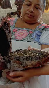 MEET THE WOMEN Alison Yahna, Hawaii Alison embodies resilience in the face  of adversity. With over two decades of experience rescuing and studying  wild honeybee colonies