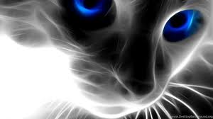 Animal 3d Wallpapers Hd Beautiful Desktop Wallpapers Desktop Background
