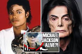 michael leann winkle