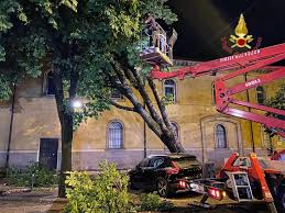 Just contact our live chat support agents to get the instant answer your questions. Maltempo A Verona Alberi Caduti Ed Edifici Pericolanti 81 Interventi Dei Vigili Del Fuoco Prima Verona