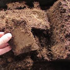 Check spelling or type a new query. Easy Seed Starting Soil For Great Vegetables Brown Thumb Mama
