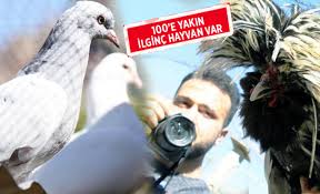 Hayvan Sevgisi Youtuber Yapti