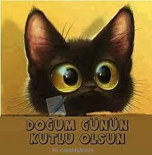 Keyfimce Mutfagim Adli Kullanicinin Dogum Gunu Panosundaki Pin Cok Sirin Hayvanlar Hayvan Kedileri Seviyorum