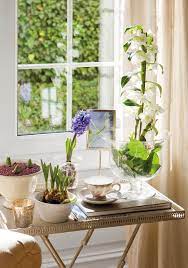 Pin En Flores Plantas Flowers