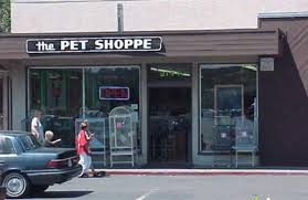 Купете съдържание (the pet shoppe) от google play и след това го гледайте на компютъра си или на устройство с android или ios. The Pet Shoppe 2144 Springs Rd Vallejo Ca 94591 Yp Com