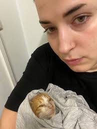 ΜΩΡΑ ΓΑΤΑΚΙΑ Ψάχνουν ΓΑΤΟΜΑΜΑΔΕΣ και ΦΡΟΝΤΙΣΤΕΣ