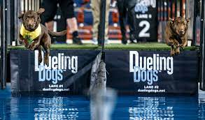 Gaos continued proof that the hunters, anglers, campers, boaters, outdoor enthusiasts and shooting sports lovers in america are. Dock Dogs Jump Into Competition At The 2020 Great American Outdoor Show Pennlive Com