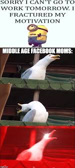 Middle Age Facebook Moms Imgflip