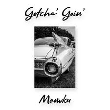 Street Groove | Commander Meowku