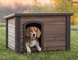 Best Insulated Dog Houses To Keep Your Doggo Warm Dognutrition Com