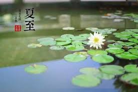 Languages english chinese czech dutch french german hebrew indonesian italian japanese korean persian polish portuguese romanian russian slovak spanish swedish turkish ukrainian. å¤è‡³çš„è¯´è¯´ç®€çŸ­ çœ‹çœ‹ç½'å‹æ˜¯æ€Žä¹ˆè¯„è®º çœ‹å·
