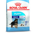 Royal Canine product image