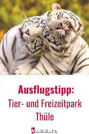 Freizeitpark In Deutschland Tier Und Freizeitpark Thule Kribbelbunt De Freizeitpark Freizeitpark Deutschland Freizeit