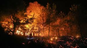 Api belum sepenuhnya dapat dikendalikan, katanya dikutip dari anadolu agency, kamis (29/7). Kebakaran Hutan Di Turki 500 Hektare Hangus Mina News