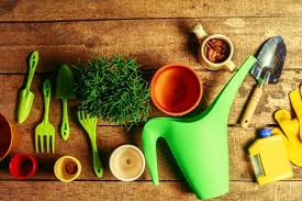 Tips for growing vegetables indoors to start, find a container that's large enough for the roots of your plant to grow, that also has a drainage hole the bottom. 13 Indoor Gardening Supplies To Invest In Project Grace