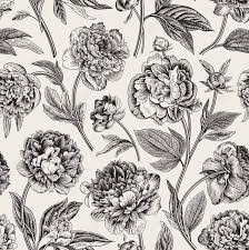 We did not find results for: Seamless Pattern Classic Peonies Vector Botanical Illustration Black And White Royalty Free Cliparts Vectors And Stock Illustration Image 133949817