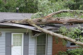 Finding good home owners insurance leads is very similar to the process for auto insurance leads. Home Insurance Leads Fused Leads