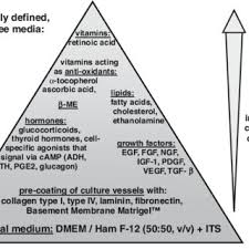 We did not find results for: Pdf Optimization Of Chemically Defined Cell Culture Media Replacing Fetal Bovine Serum In Mammalian In Vitro Methods