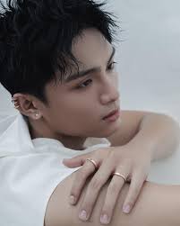 Modern Collectible: Aimee, Grey D, Min, Bích Phương và Chloe Nguyễn trong  chiến dịch Tiffany Lock